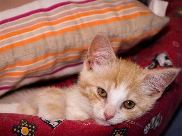 生气睡不着怎么发朋友圈(图1)