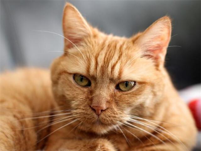 生气睡不着怎么发朋友圈(图2)