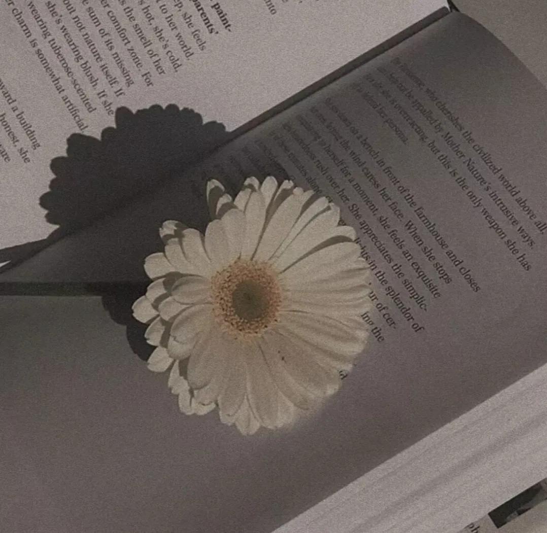 小可爱生气了，这些句子拿去哄吧(图2)