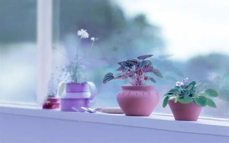 情绪智慧，如何高情商表达生气的瞬间(图1)