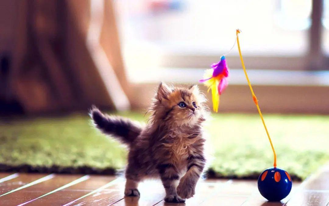 情绪智慧，如何高情商表达生气的瞬间(图2)