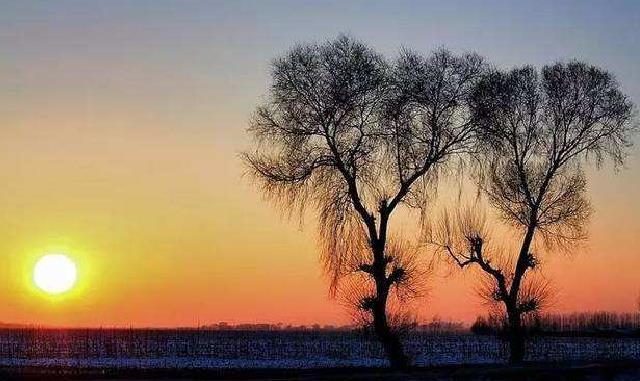 生气解决不了问题，生气的时候看看这些句子吧！(图1)