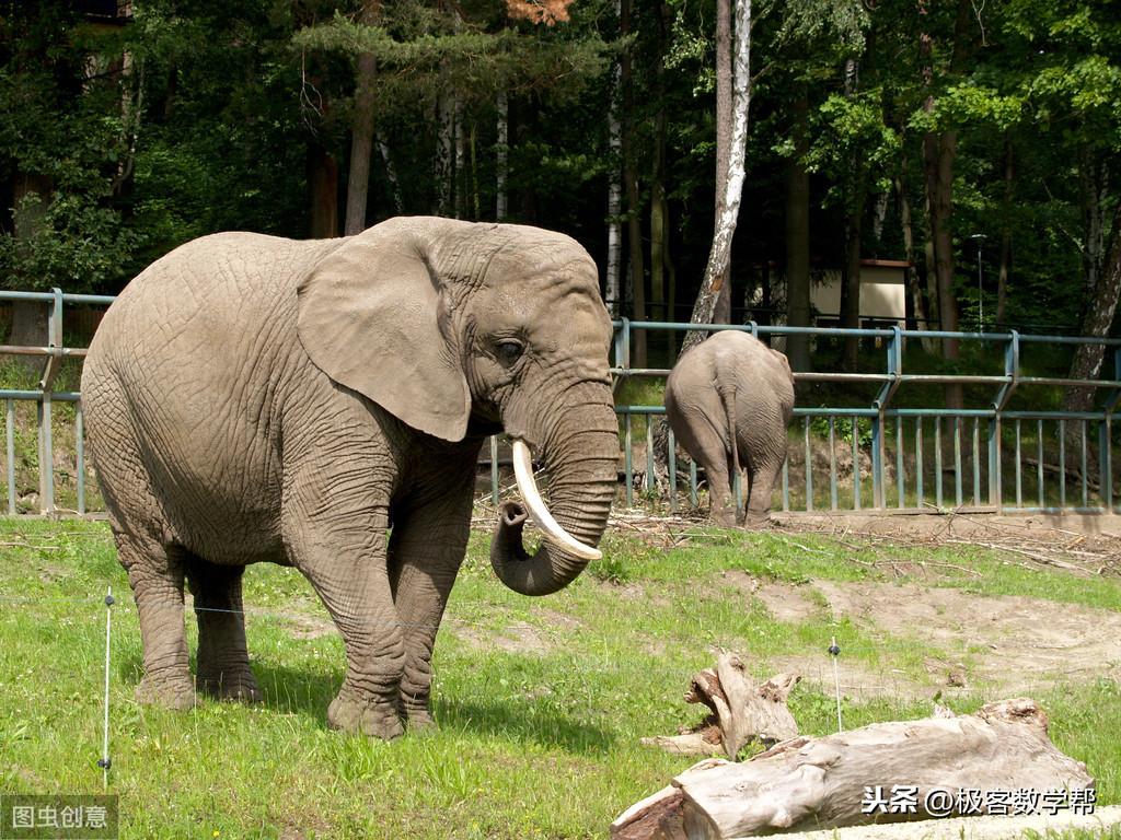 15个趣味数学小故事，收藏起来给孩子讲数学故事(图2)