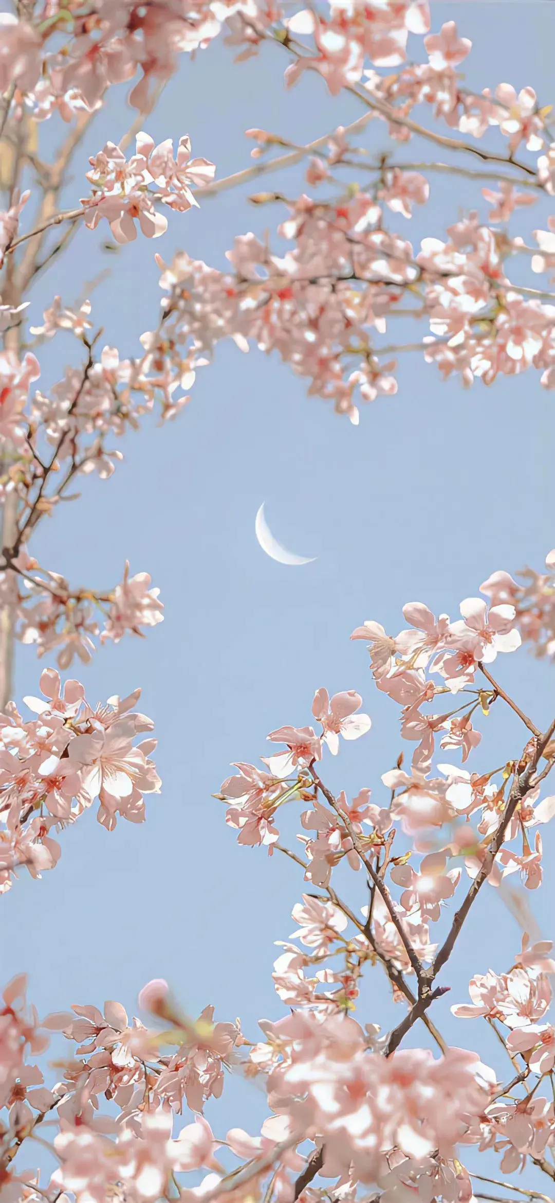 那些一个人emo的文案(图3)