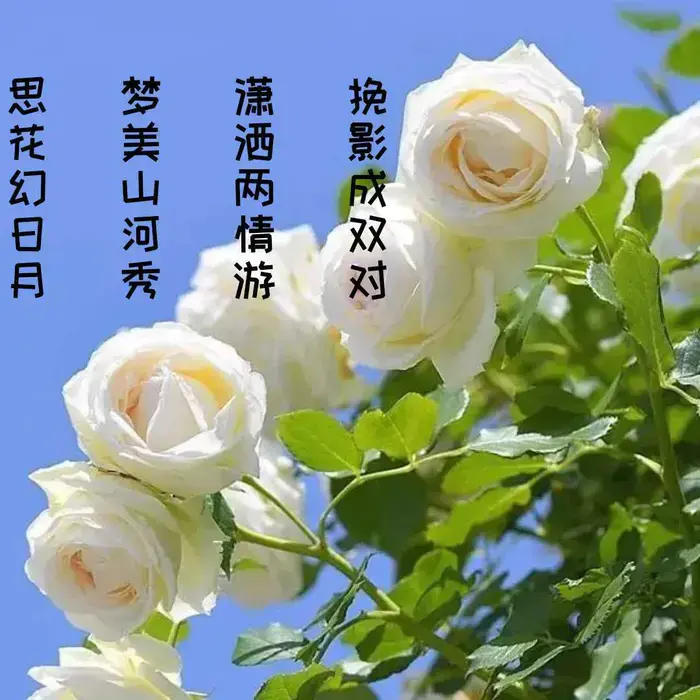 痴情笔墨囚心语，互诉衷肠把爱留(图2)