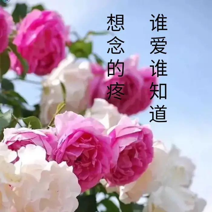 痴情笔墨囚心语，互诉衷肠把爱留(图3)