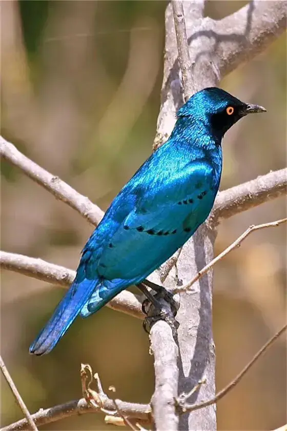 若在心上：相隔万里又怎样？我不来，你不会走，我老了，依然深爱(图4)