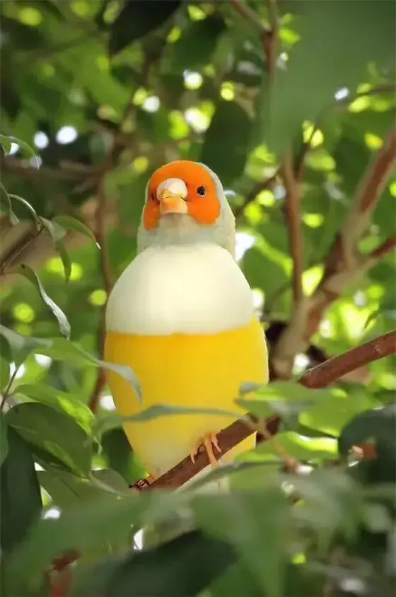 若在心上：相隔万里又怎样？我不来，你不会走，我老了，依然深爱(图5)