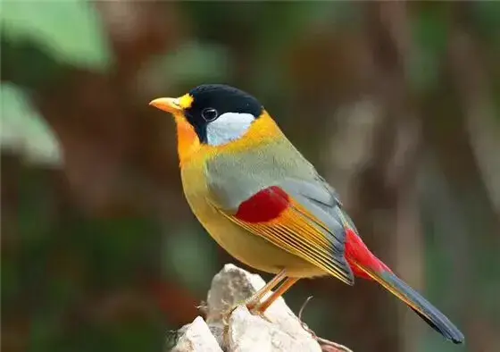 若在心上：相隔万里又怎样？我不来，你不会走，我老了，依然深爱(图7)