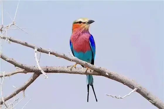 若在心上：相隔万里又怎样？我不来，你不会走，我老了，依然深爱(图8)