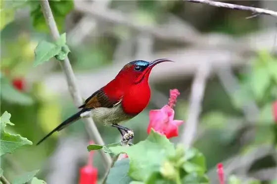 若在心上：相隔万里又怎样？我不来，你不会走，我老了，依然深爱(图9)