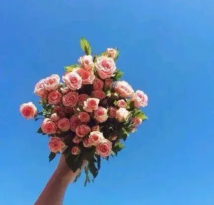 很是霸气的古风句子，精辟有范，点赞率超高！(图1)