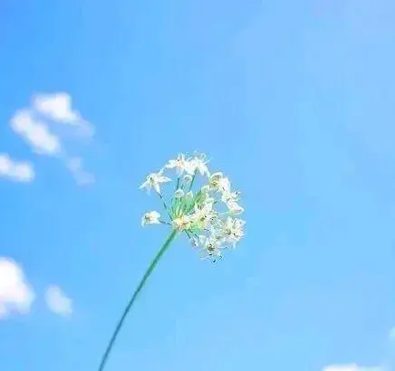 很是霸气的古风句子，精辟有范，点赞率超高！(图3)