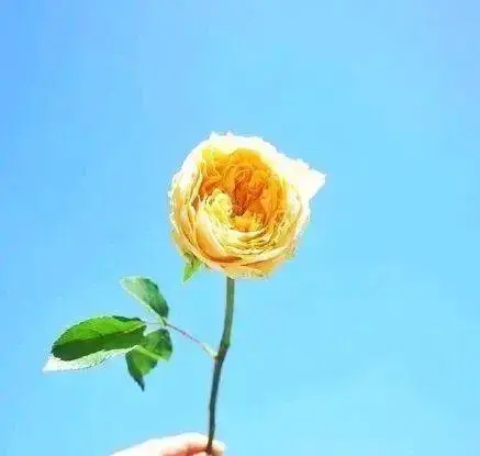 很是霸气的古风句子，精辟有范，点赞率超高！(图4)