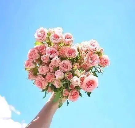 很是霸气的古风句子，精辟有范，点赞率超高！(图5)