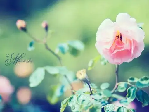 心情特烦想发个朋友圈的句子，简短走心(图3)