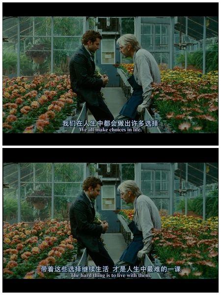 20条关于成长的句子：生活绝不会因为你胆小怯懦而饶过你(图3)