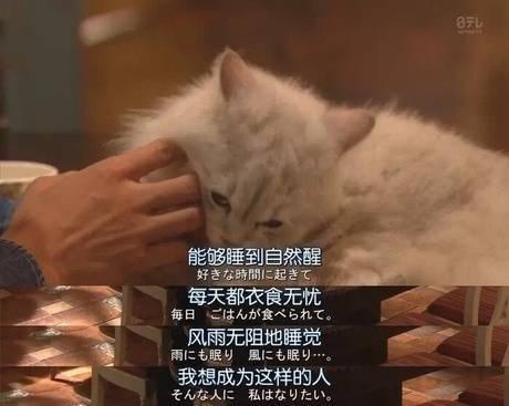 20条关于成长的句子：生活绝不会因为你胆小怯懦而饶过你(图7)