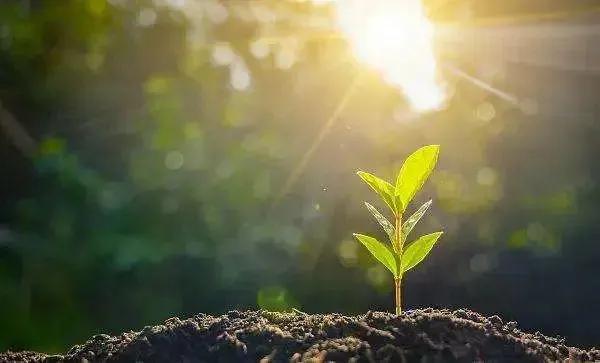 人民日报金句摘抄：青春成长，梦想奋斗(图4)