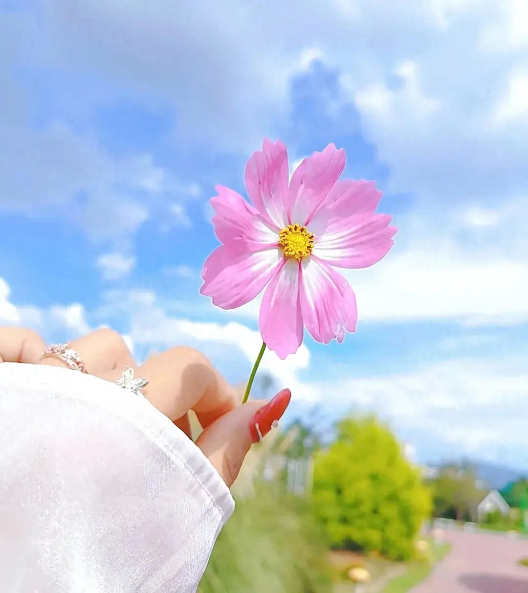 短句时光，一起分享(图1)