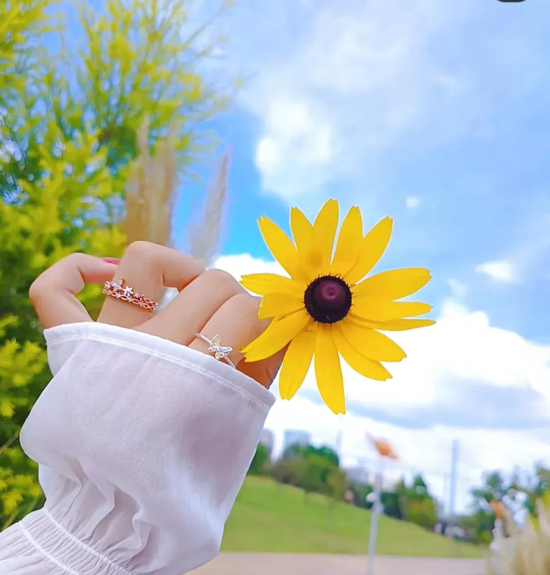 短句时光，一起分享(图2)