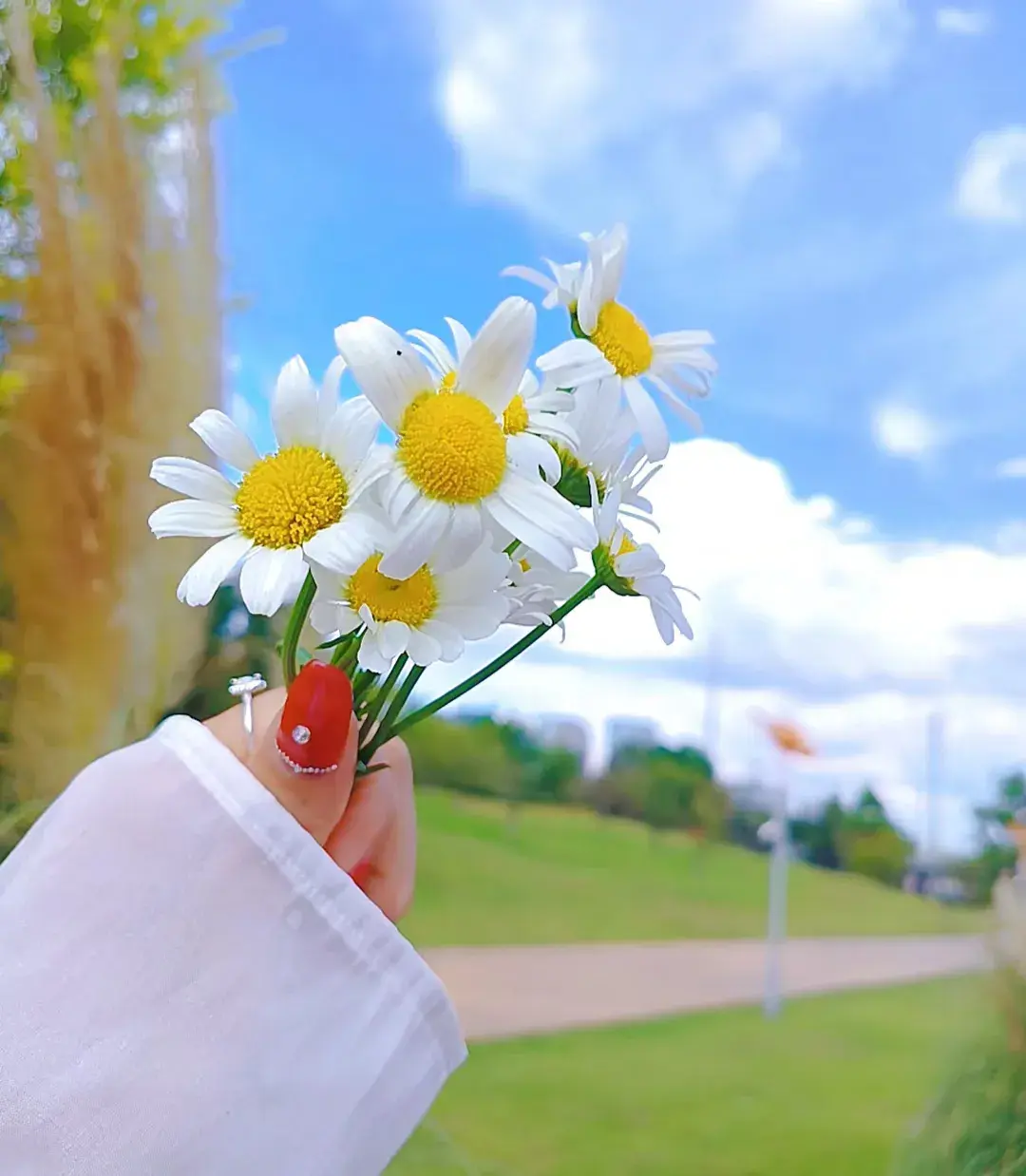 短句时光，一起分享(图3)