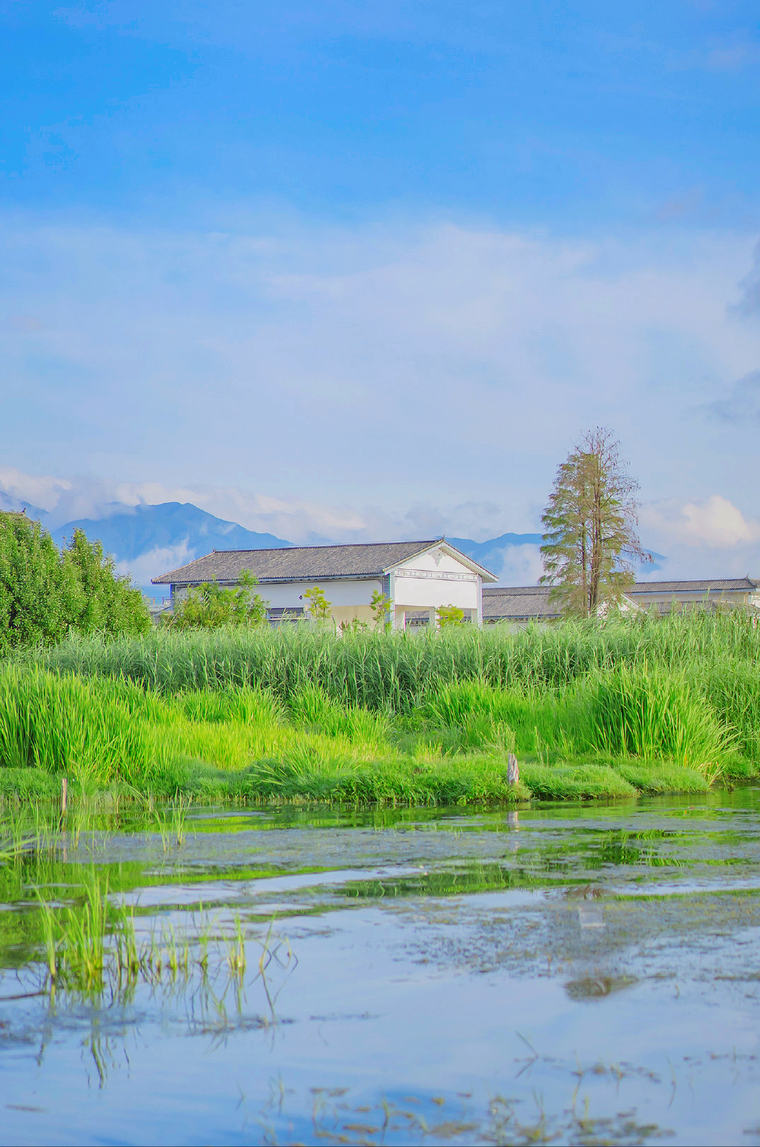 治愈文案：时光很匆忙，别错过日落和夕阳(图1)