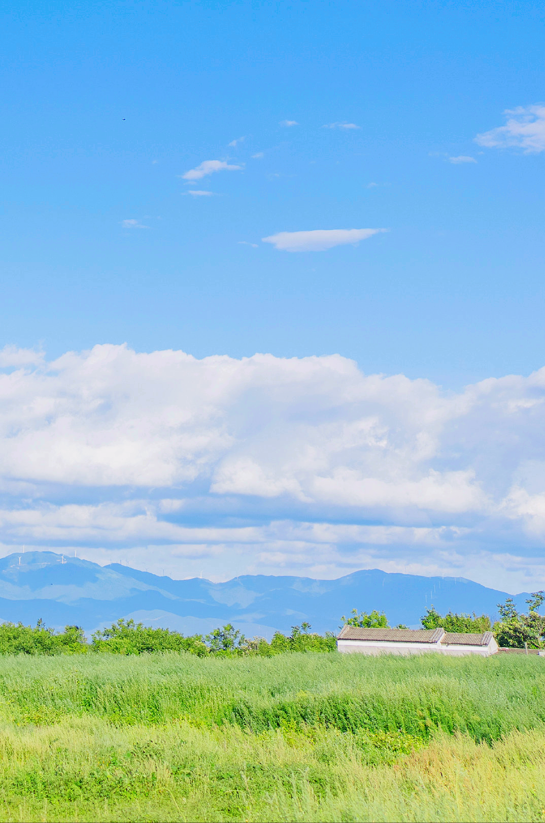 治愈文案：时光很匆忙，别错过日落和夕阳(图3)