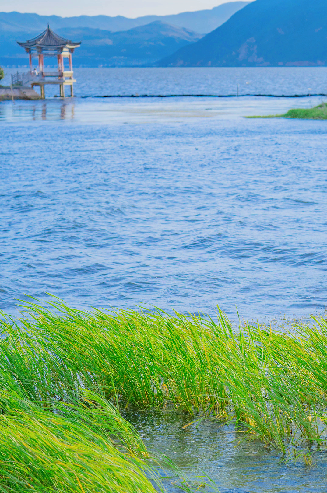 治愈文案：时光很匆忙，别错过日落和夕阳(图6)