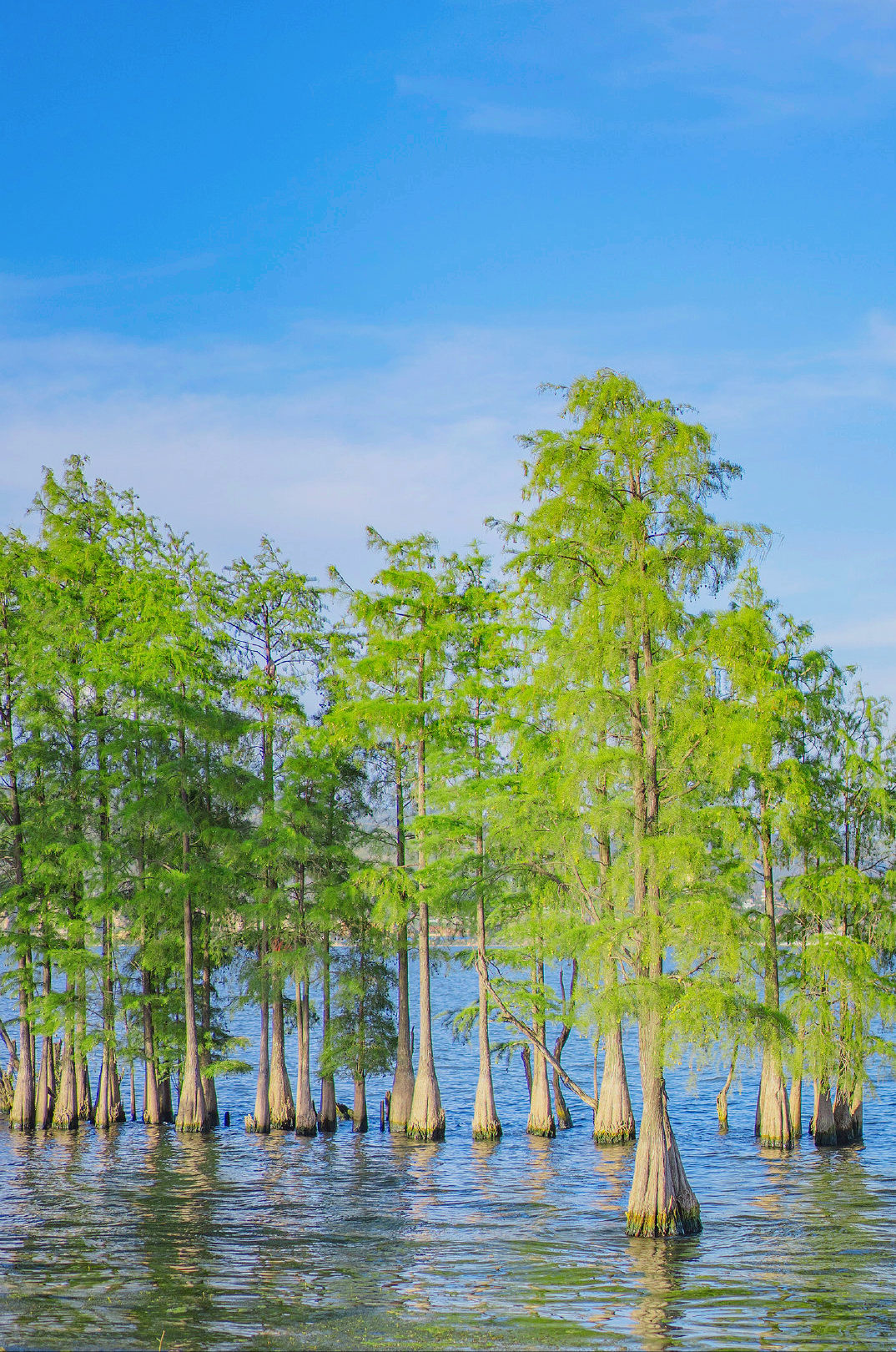 治愈文案：时光很匆忙，别错过日落和夕阳(图7)