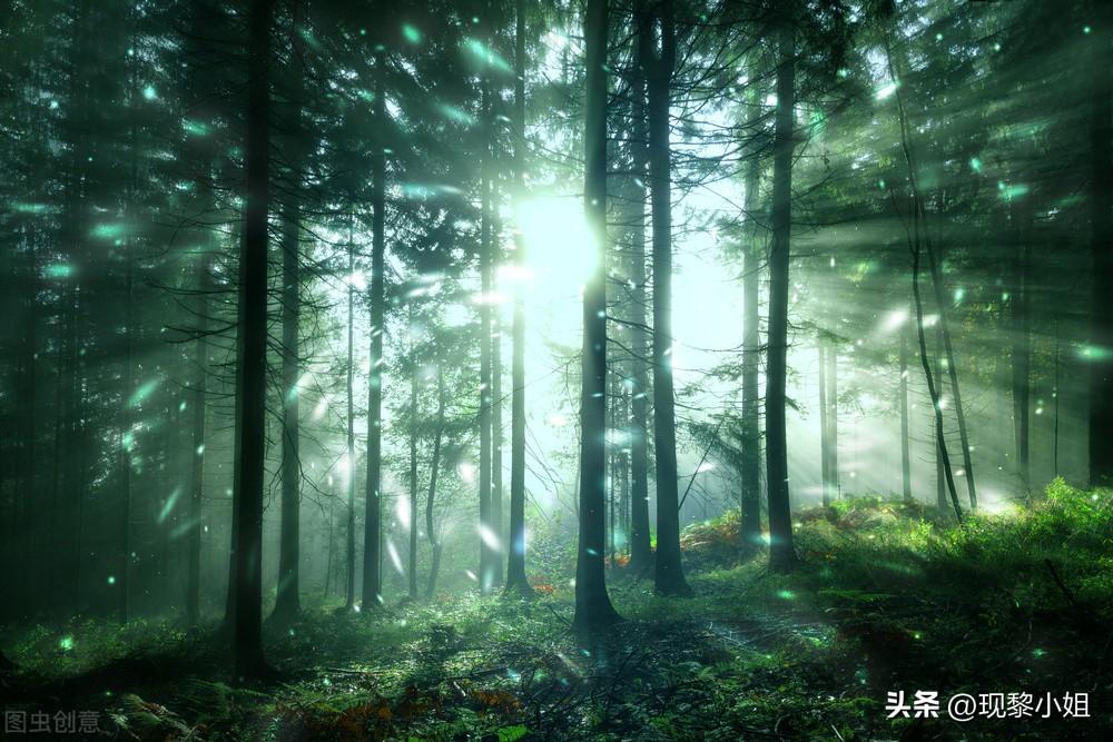 那些与时光相关的句子(图3)