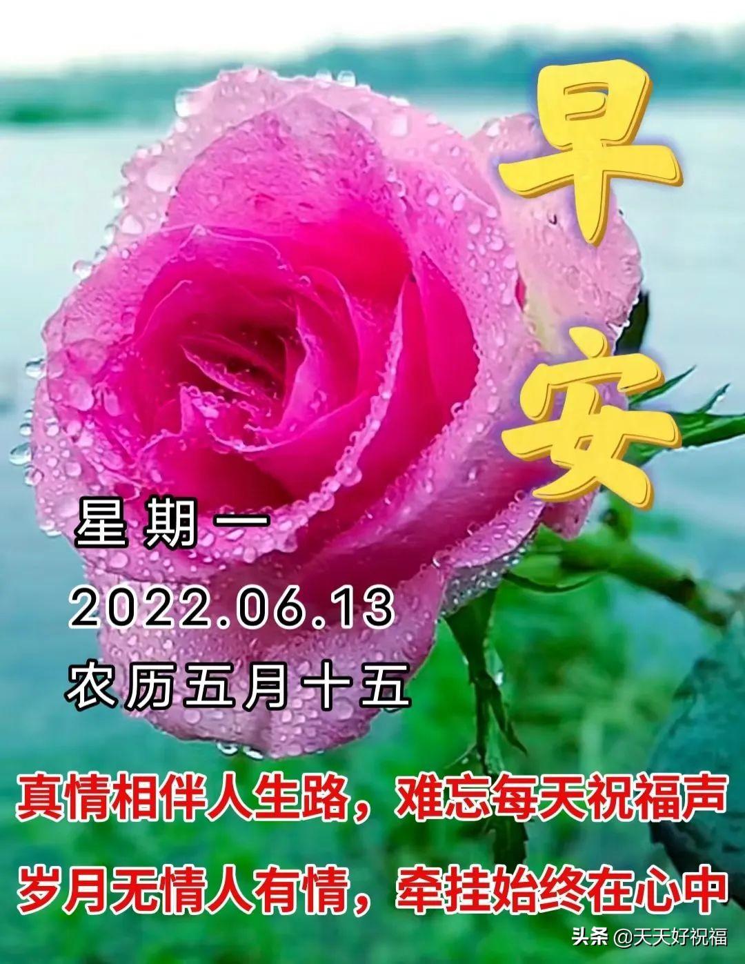 6月13日 愿我身边的亲人和朋友平安一生，健康一世，快乐一辈子(图1)