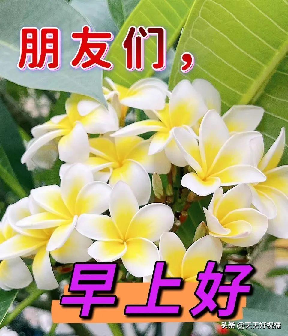 6月13日 愿我身边的亲人和朋友平安一生，健康一世，快乐一辈子(图4)