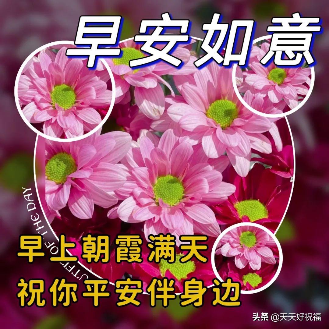 6月13日 愿我身边的亲人和朋友平安一生，健康一世，快乐一辈子(图8)