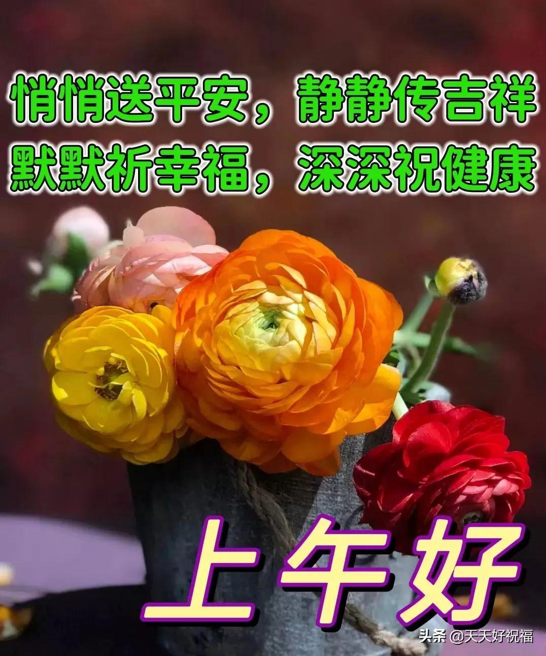 6月13日 愿我身边的亲人和朋友平安一生，健康一世，快乐一辈子(图11)