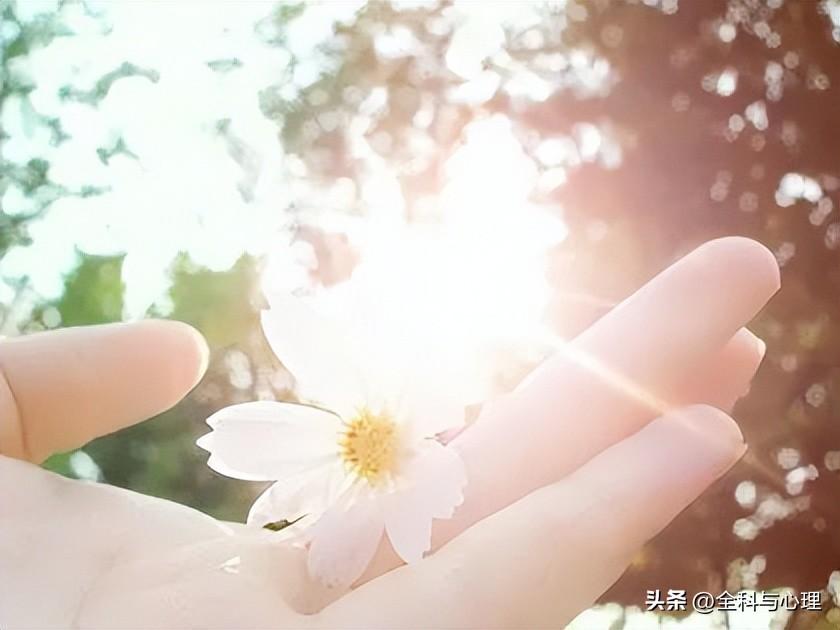 早安励志心语简短句子 微信早安励志语句(图3)