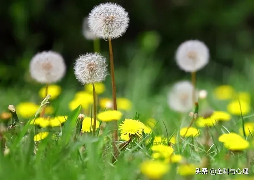 早安励志心语简短句子 微信早安励志语句(图8)