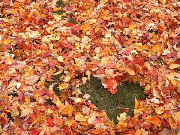 早安正能量简单一句话，励志共勉(图2)