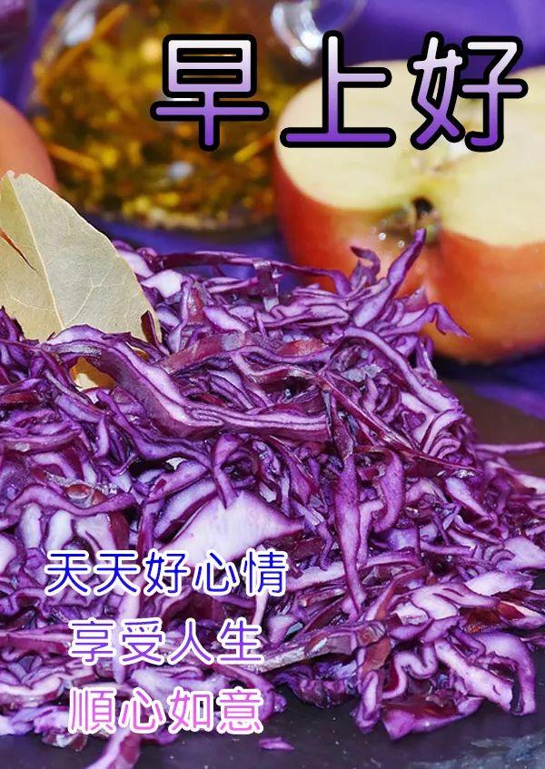 传递正能量的早安励志语句，很美的早上好问候祝福图片带字(图4)