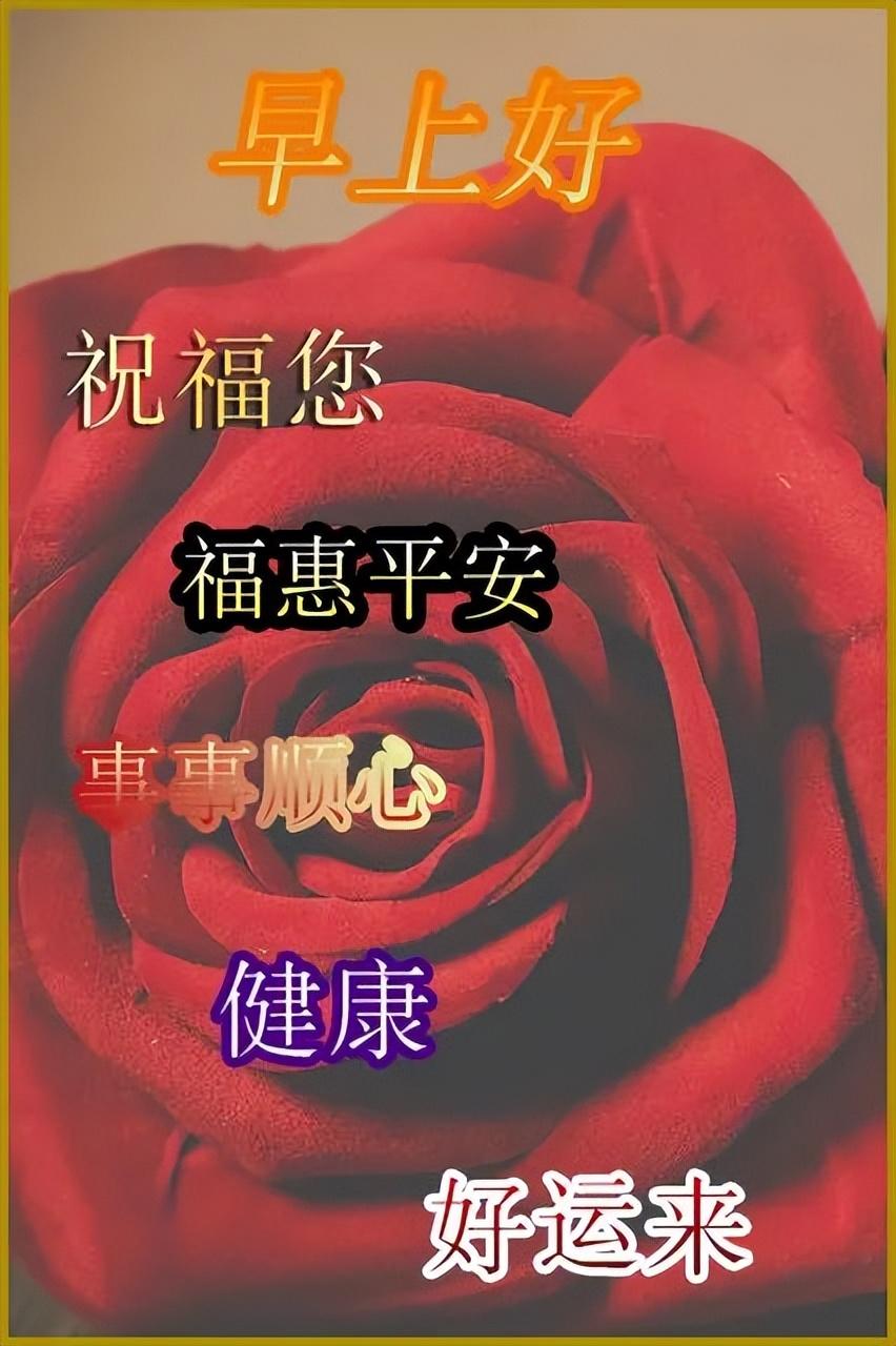 传递正能量的早安励志语句，很美的早上好问候祝福图片带字(图8)