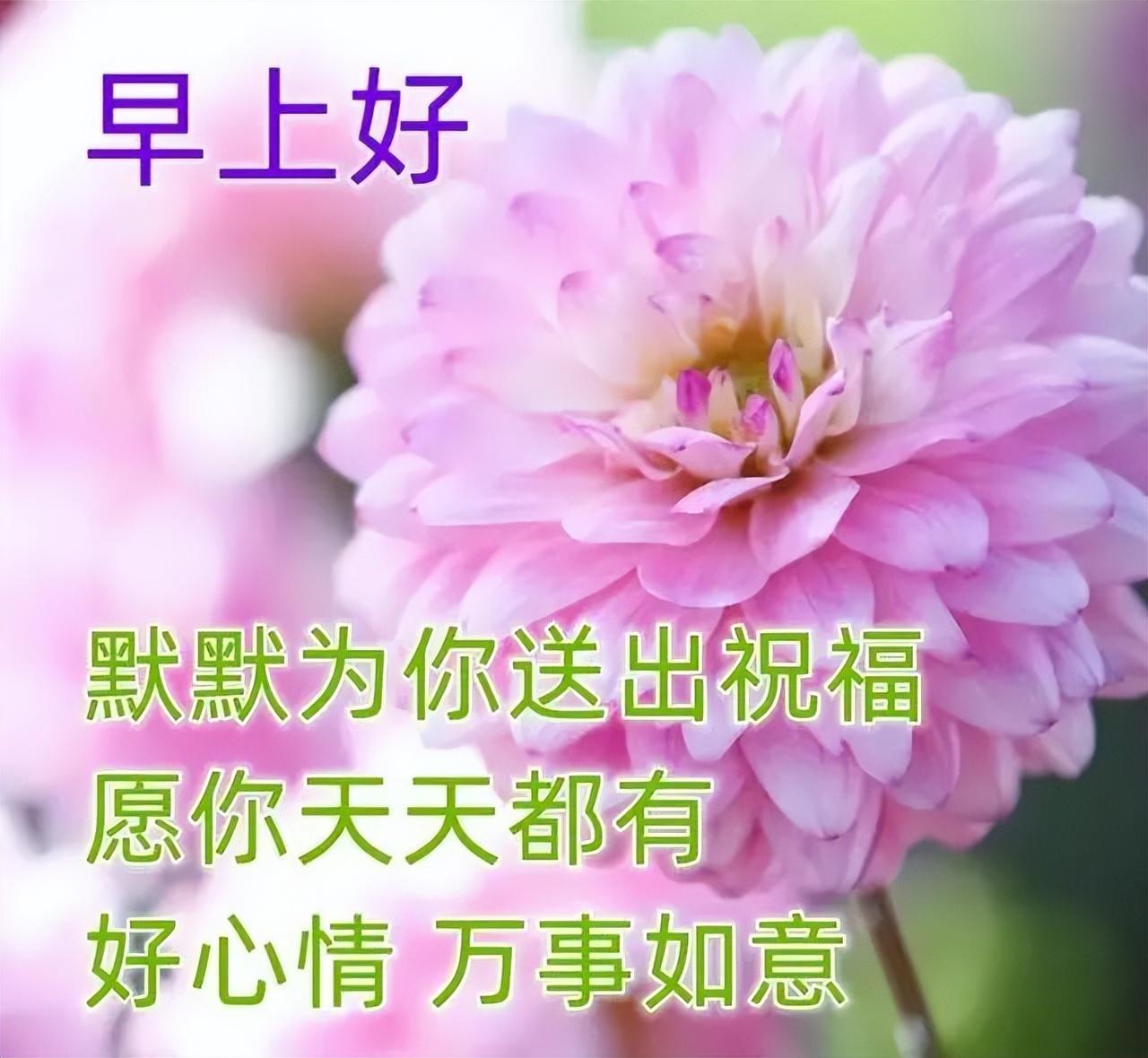 传递正能量的早安励志语句，很美的早上好问候祝福图片带字(图9)