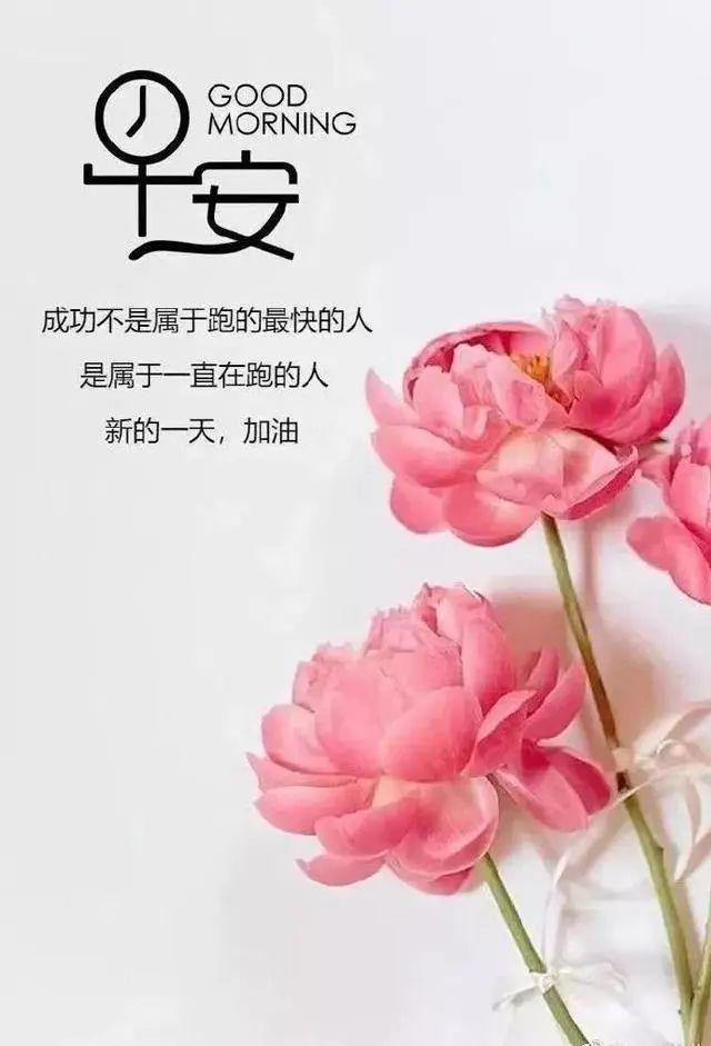传递正能量的早安励志语句，很美的早上好问候祝福图片带字(图10)