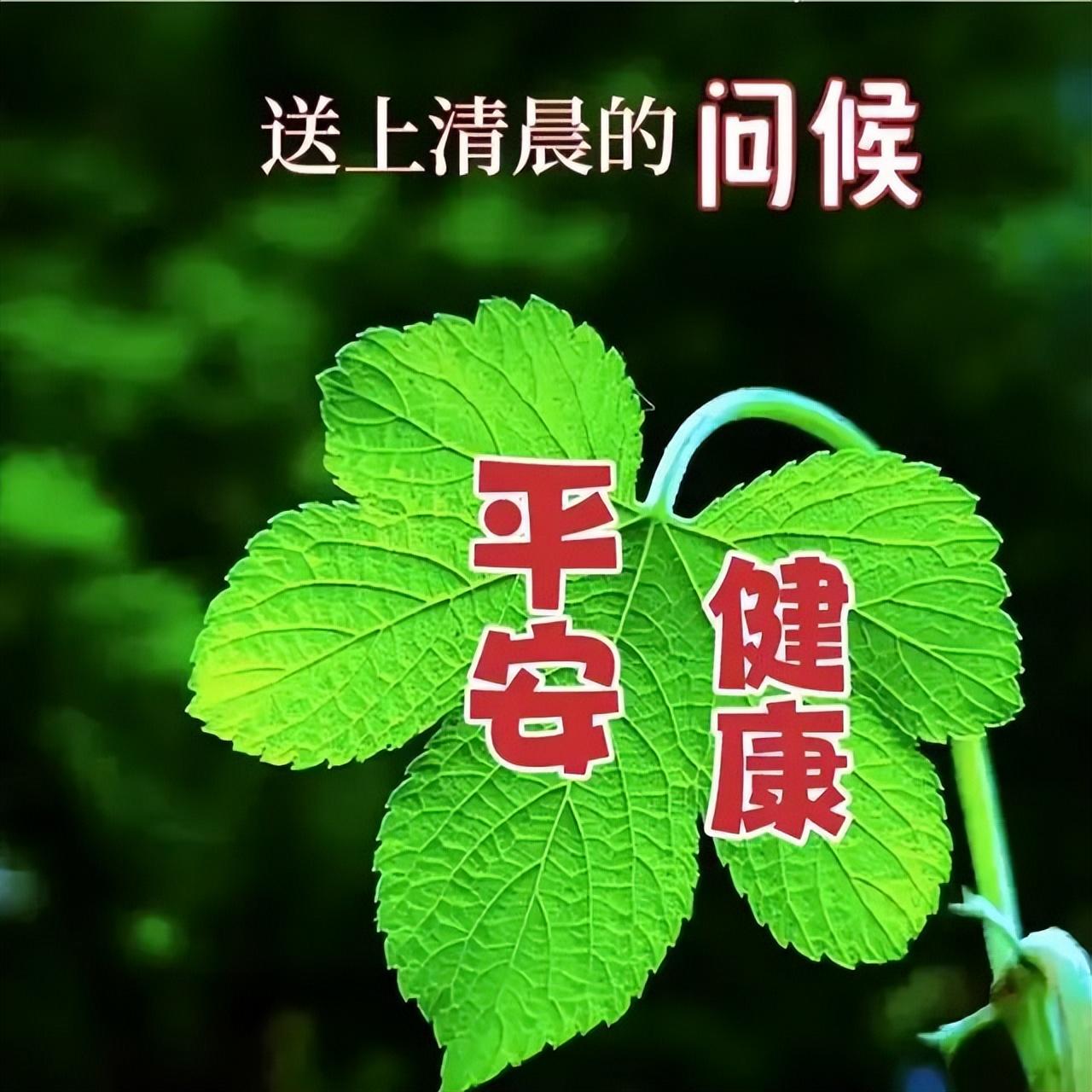 传递正能量的早安励志语句，很美的早上好问候祝福图片带字(图11)