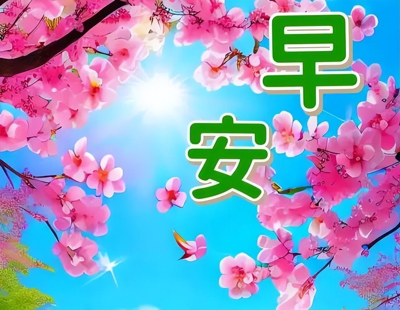 传递正能量的早安励志语句，很美的早上好问候祝福图片带字(图12)