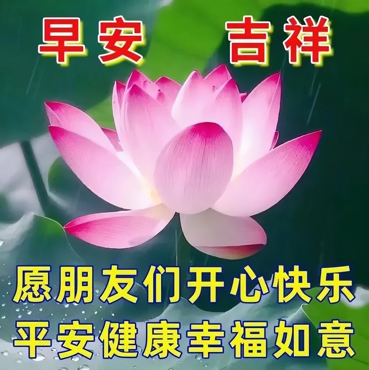 传递正能量的早安励志语句，很美的早上好问候祝福图片带字(图13)