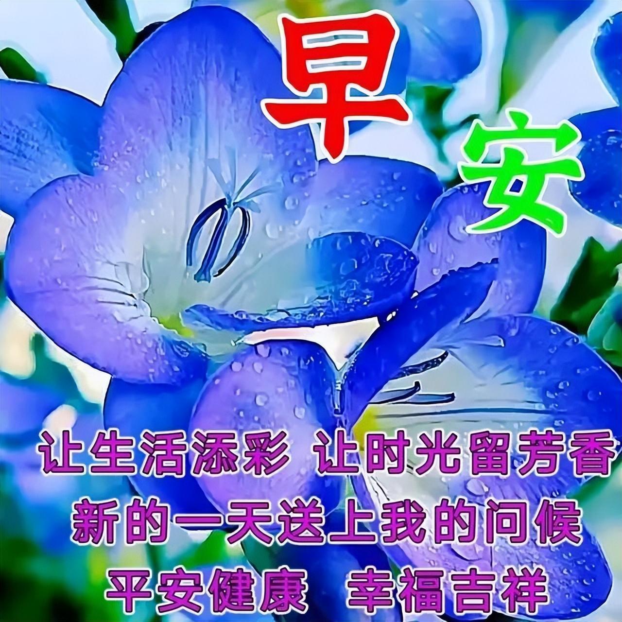 传递正能量的早安励志语句，很美的早上好问候祝福图片带字(图14)