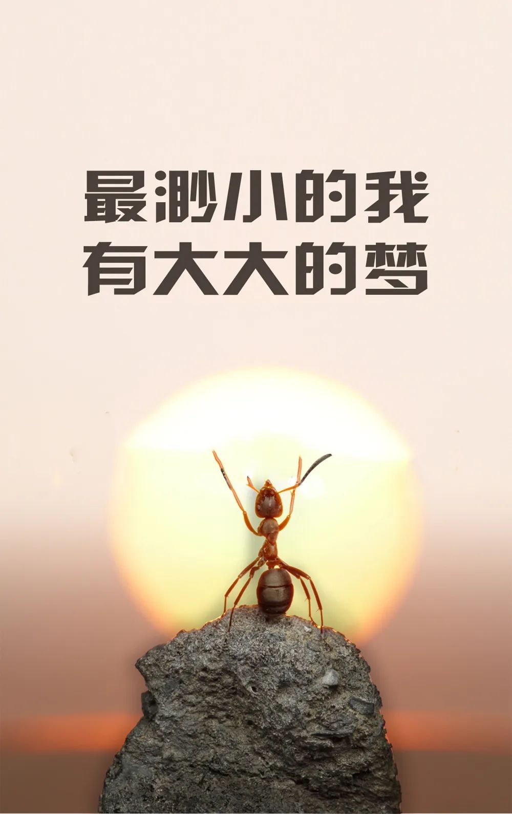 「2023.11.04」早安心语，正能量秒赞激励语录说说句子，问候图片(图3)