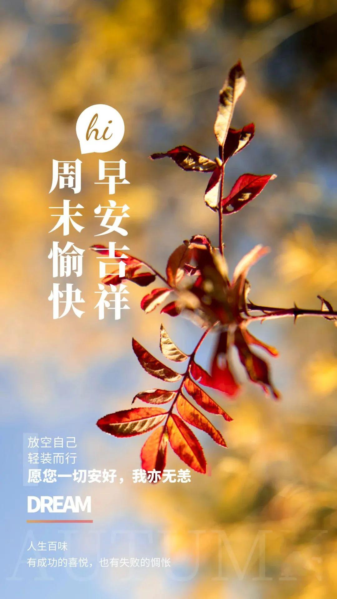 「2023.11.04」早安心语，正能量秒赞激励语录说说句子，问候图片(图9)