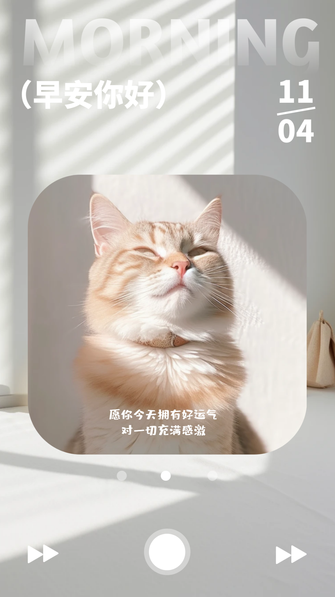 「2023.11.04」早安心语，正能量秒赞激励语录说说句子，问候图片(图12)