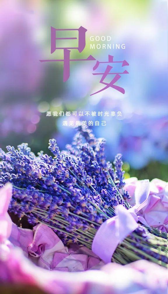 「2023.11.04」早安心语，正能量秒赞激励语录说说句子，问候图片(图15)